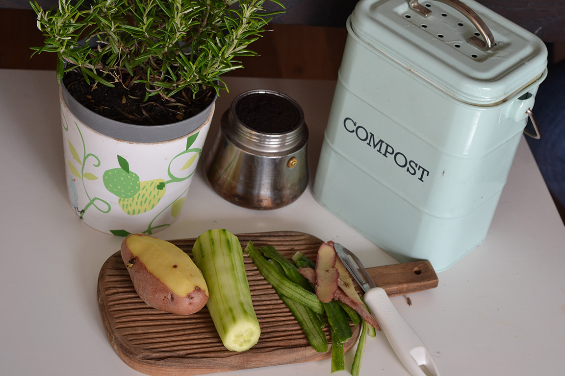 Compost box , Plant and vegetalbes placed on the table