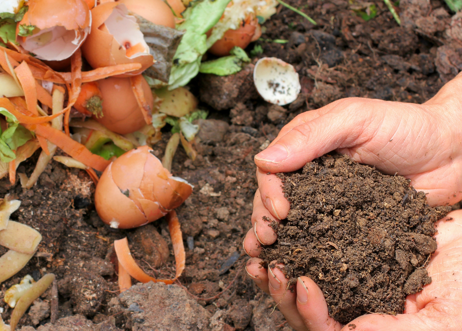 Starting Your Own Compost Pile