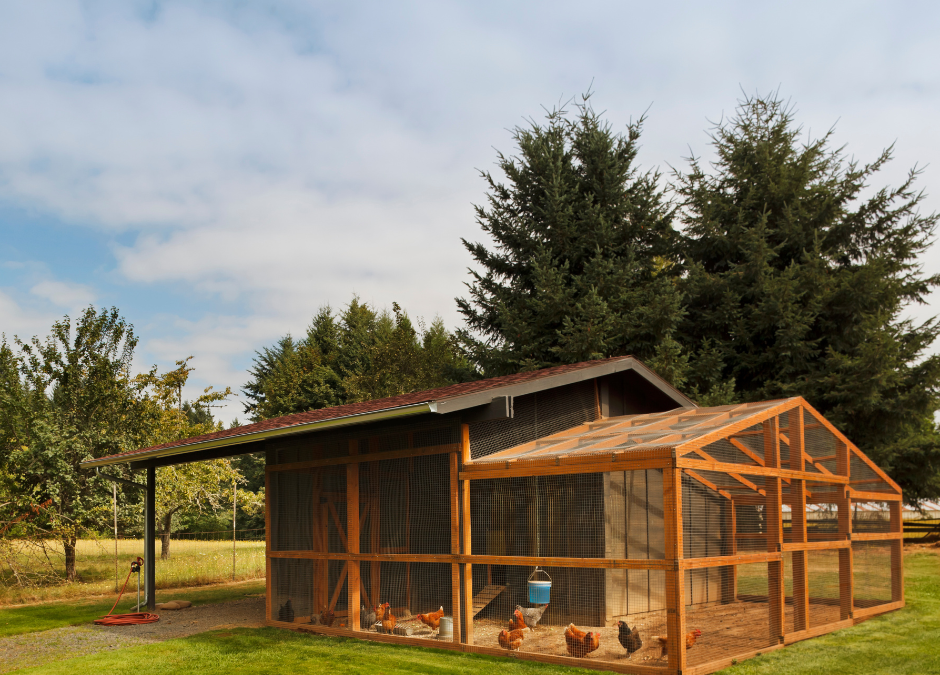 3 Features of the Perfect Chicken Coop