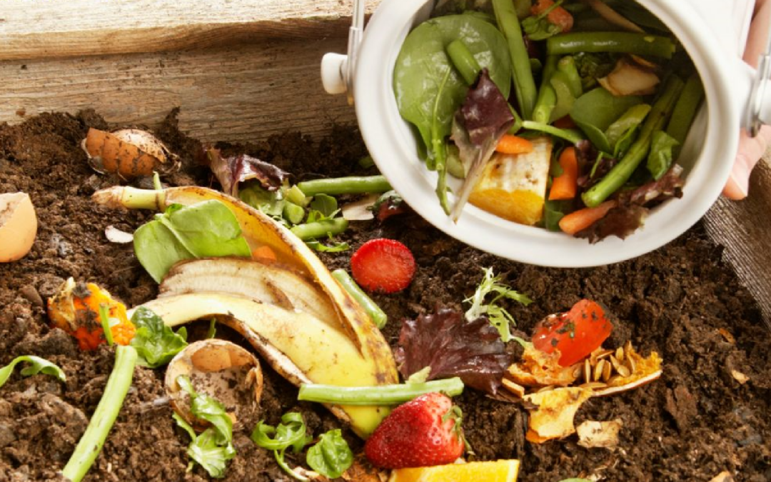 What to Know About Using Compost Accelerator for Your Garden